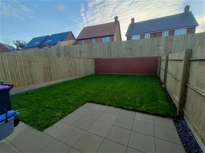 Picture 12